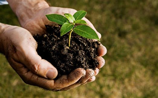 Activated Carbon in Soil